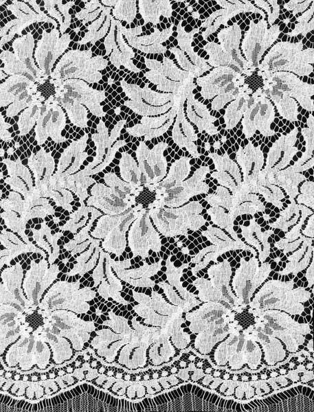 FRENCH LACE - IVORY